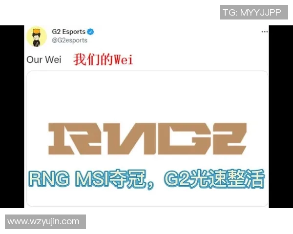 esports数据深入剖析RNG战队实力对比及其在赛场上的表现与潜力